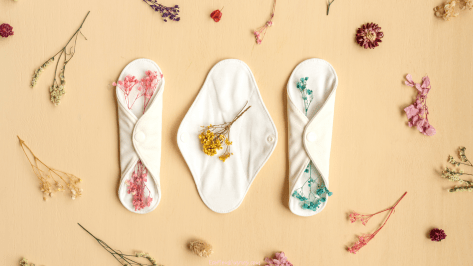 Best Zero Waste Period Kits For Beginners