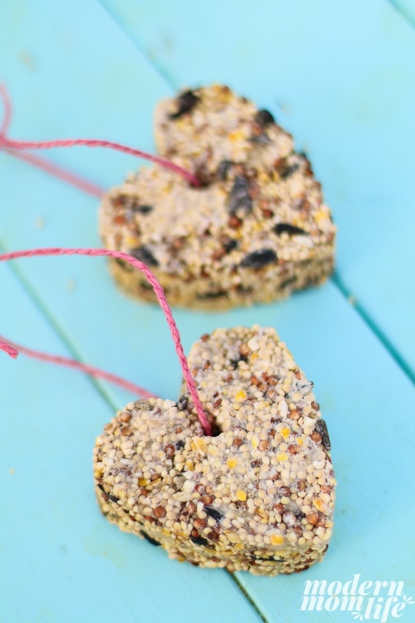 Heart Shaped Bird Seed