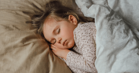 Top Non-Toxic Toddler Beds for Safe and Healthy Sleep