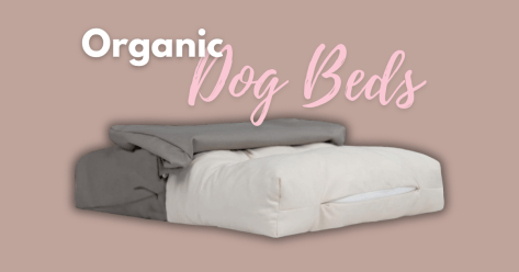 Best Organic Dog Beds: Sustainable Comfort for Pets