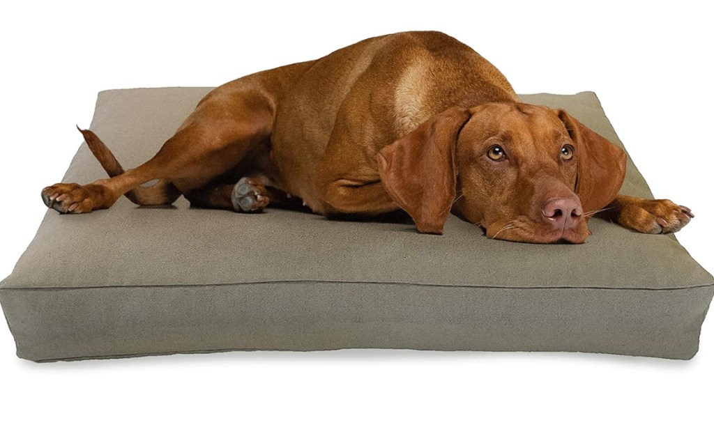 Organic hemp dog bed by bean products in cocoa with a dog laying on top 