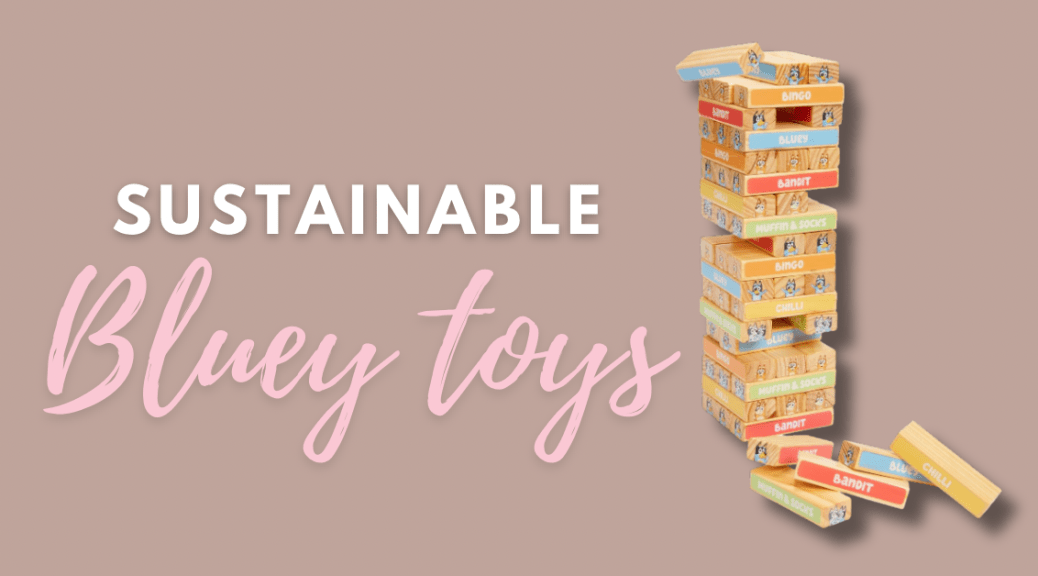 sustainable Bluey toys blog post